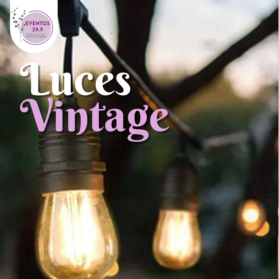 Alquiler de luces vintage 15 focos 15 mts.