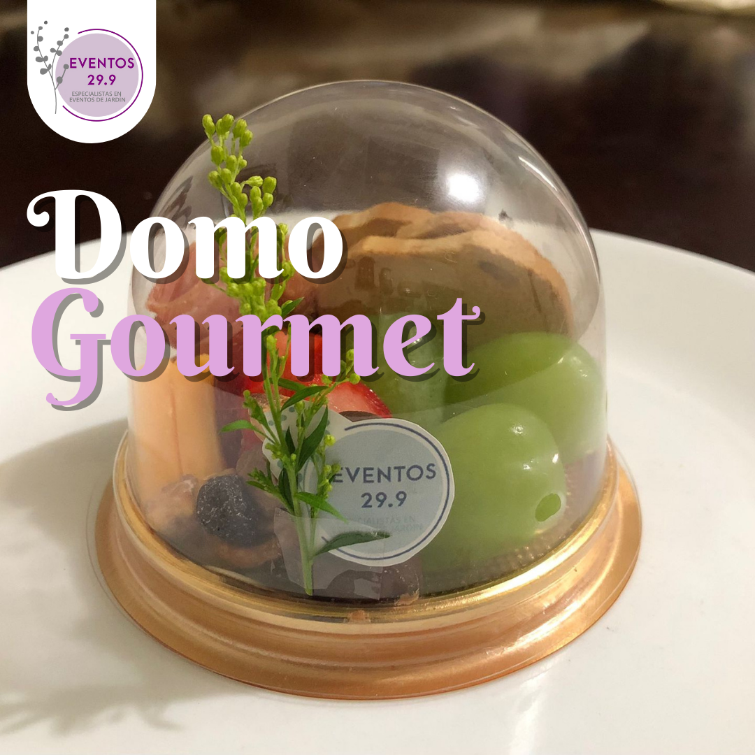 Domo Gourmet