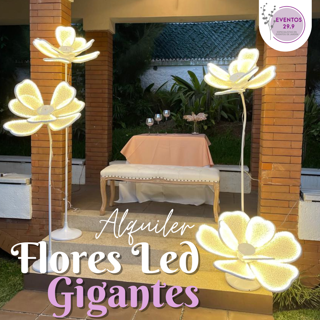 Alquiler de Flores Gigantes