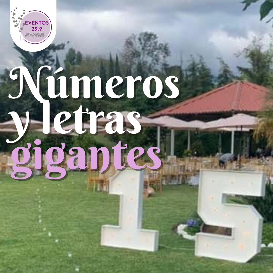 Alquiler de Letras y Números gigantes