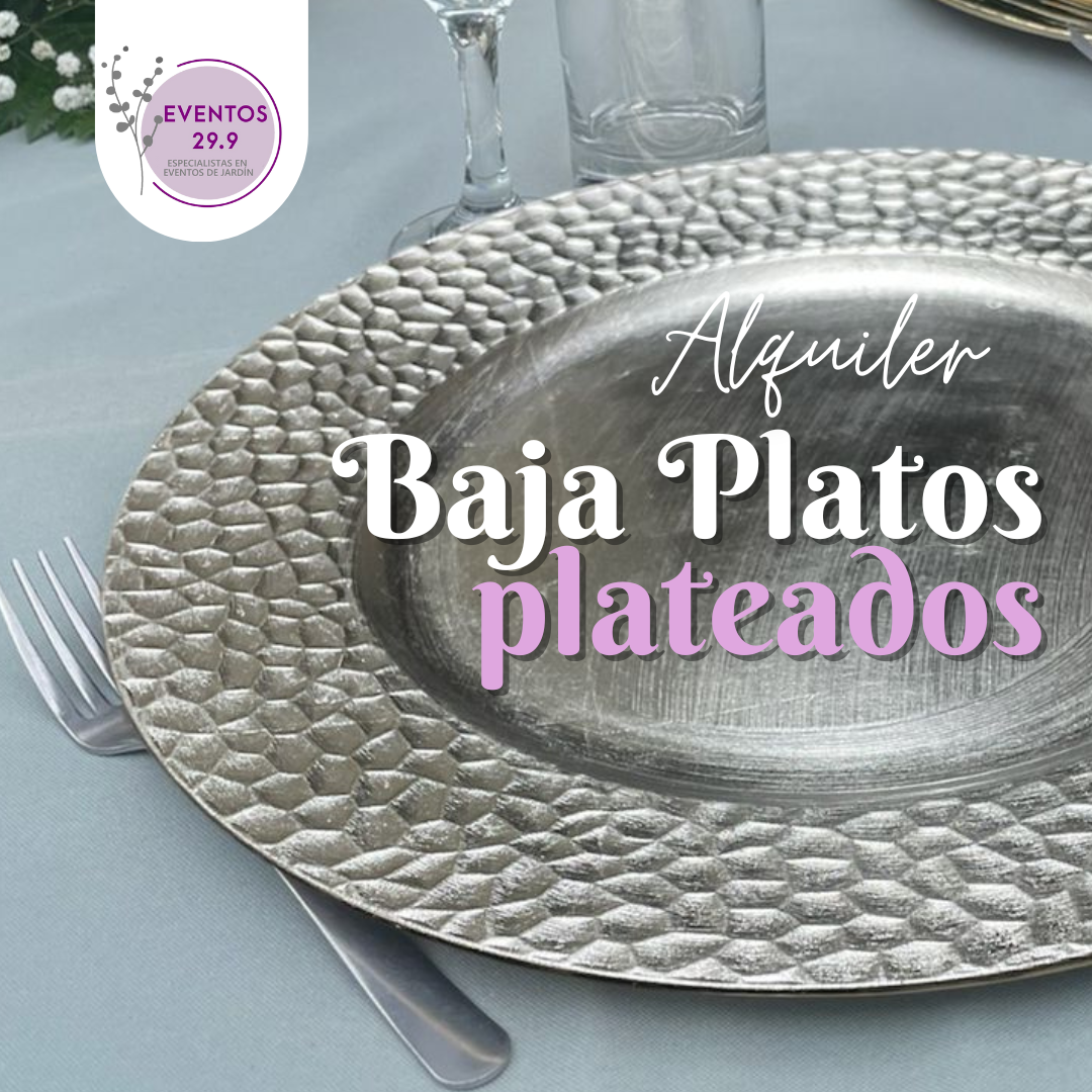 Alquiler de Baja Platos Plateados